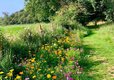 Emral Gardens Caravan Park – Seasonal Pitches & Caravan Storage Near Wrexham, North Wales