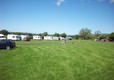 Our caravan pitches