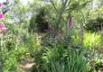 Little Trevothan - Nature Trail 4