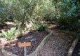 Little Trevothan - Nature Trail 2