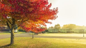 Autumn