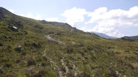 All terrain vehicle track, Gleann Màma (© © Copyright Richard Webb (https://www.geograph.org.uk/profile/196) and licensed for reuse (http://www.geograph.org.uk/reuse.php?id=4973033) under this Creative Commons Licence (https://creativecommons.org/licenses/by-sa/2.0/).)
