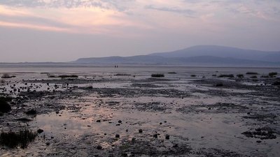 Muflats near Askam in Furness (© Chris Upson [CC BY-SA 2.0 (https://creativecommons.org/licenses/by-sa/2.0)], via Wikimedia Commons (original photo: https://commons.wikimedia.org/wiki/File:Muflats_near_Askam_in_Furness_-_geograph.org.uk_-_240245.jpg))