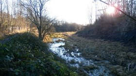 The Barnsley Canal near Royston (© © Copyright Jonathan Clitheroe (https://www.geograph.org.uk/profile/19028) and licensed for reuse (http://www.geograph.org.uk/reuse.php?id=5255944) under this Creative Commons Licence (https://creativecommons.org/licenses/by-sa/2.0/).)