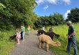 Smytham Holiday Park