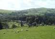 Woodlands Caravan Park Devils Bridge, Aberystwyth