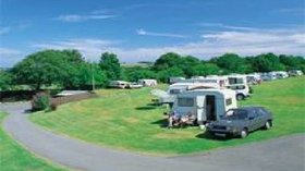 Picture of Shawsmead Caravan Club Site, Ceredigion - Lots of wildlife and woodland around the site