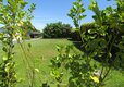 Little Trevothan - Grass Touring 2