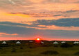 Go Wild Thetford Camping in Norfolk