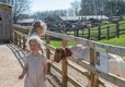 Adam Henson's Cotswold Farm Park Cheltenham, Gloucestershire