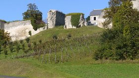 Ramparts_of_Coucy_le_Chateau_l_Auffrique,_Aisne,_France_P1070795 (© By Pline (Own work) [GFDL (http://www.gnu.org/copyleft/fdl.html) or CC BY-SA 3.0 (http://creativecommons.org/licenses/by-sa/3.0)], via Wikimedia Commons (GFNL copy: https://en.wikipedia.org/wiki/GNU_Free_Documentation_License, original photo: https://upload.wikimedia.org/wikipedia/commons/5/5b/Ramparts_of_Coucy_le_Chateau_l_Auffrique%2C_Aisne%2C_France_P1070795.JPG))
