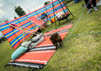 Hunstanton Camping & Glamping