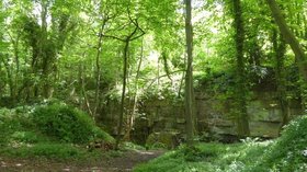 Former stone quarry in Lowther Wood, Pickering (© © Copyright David Smith (https://www.geograph.org.uk/profile/708) and licensed for reuse (http://www.geograph.org.uk/reuse.php?id=4577919) under this Creative Commons Licence (https://creativecommons.org/licenses/by-sa/2.0/).)