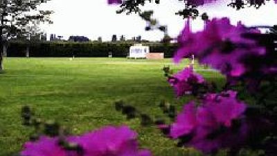 Picture of Rowan Park, West Sussex
