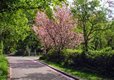 Cote Ghyll Caravan & Camping Park