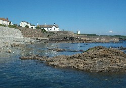 Picture of Wheal Rodney, Cornwall