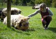 Notgrove Holidays Animals