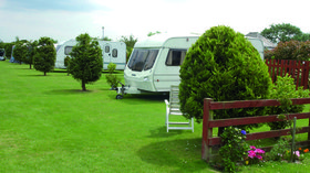 Our touring pitches - The Laurels Holiday Park
