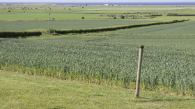 Goswick from Beal