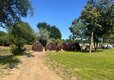 Springfield Retreat Lodge Park