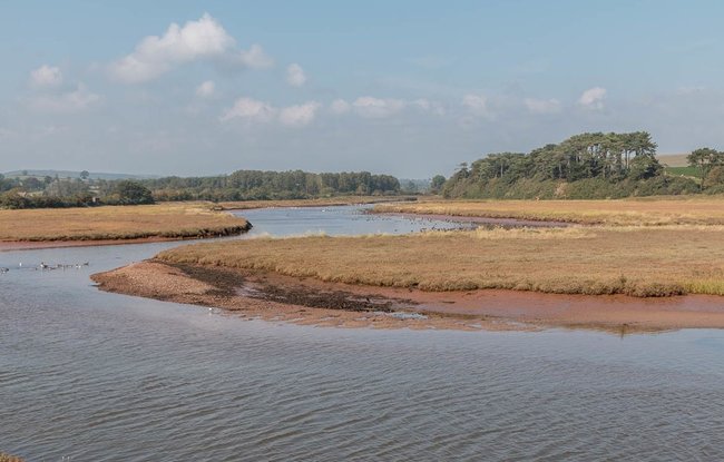Otter Estuary Nature Reserve, Budleigh Salterton, Devon  (© © Copyright Christine Matthews (https://www.geograph.org.uk/profile/1777) and licensed for reuse (https://www.geograph.org.uk/reuse.php?id=4192181) under this Creative Commons Licence (https://creativecommons.org/licenses/by-sa/2.0/).)