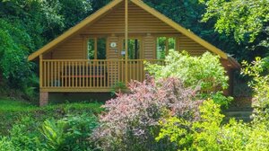 Bulworthy Forest Lodges – North Devon Woodland Lodge Breaks Bulworthy Forest Lodges – North Devon Woodland Lodge Breaks