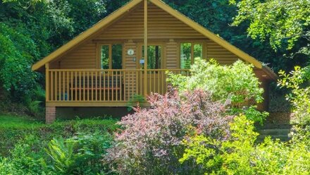 Bulworthy Forest Lodges – North Devon Woodland Lodge Breaks
