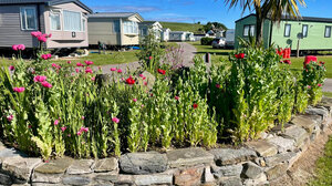 Sandend Holidays - Beachfront Caravan, Camping & Touring Park in Aberdeenshire, Scotland