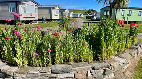 Sandend Holidays - Beachfront Caravan, Camping & Touring Park in Aberdeenshire, Scotland