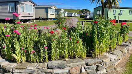 Sandend Holidays - Beachfront Caravan, Camping & Touring Park in Aberdeenshire, Scotland