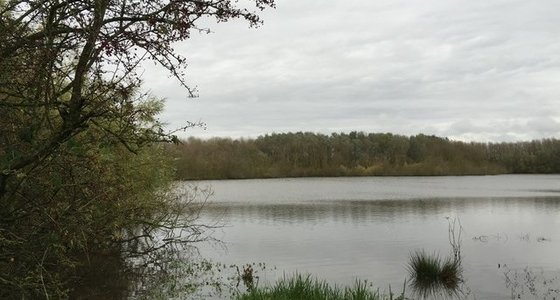 Elm Tree Farm Certificated Site Sandbach Cheshire