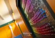923A4525-Enhanced-NR