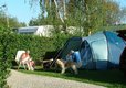 campsite in north France