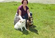 Little Trevothan - Dog Friendly 4