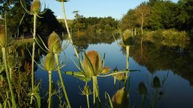 Fishing lake - The fishing lake