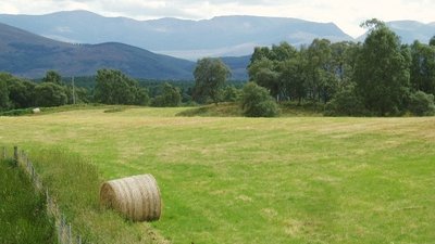 View SE to the Cairngorms from the B9153  (© © Copyright Eileen Henderson (https://www.geograph.org.uk/profile/5069) and licensed for reuse (http://www.geograph.org.uk/reuse.php?id=214180) under this Creative Commons Licence (https://creativecommons.org/licenses/by-sa/2.0/).)