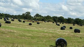 Hay bales in Horton by Malpas (© Geoff Evans [CC BY-SA 2.0 (https://creativecommons.org/licenses/by-sa/2.0)], via Wikimedia Commons (original photo: https://commons.wikimedia.org/wiki/File:Hay_bales_in_Horton_by_Malpas,_Cheshire,_England.jpg))
