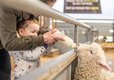 Adam Henson's Cotswold Farm Park Cheltenham, Gloucestershire