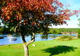 Loch Ken & Viaduct