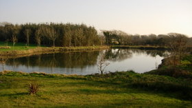 Ginger Hill Large Pond
