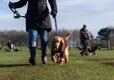 Adam Henson's Cotswold Farm Park Cheltenham, Gloucestershire