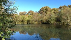 Lake at Borrow Pit Meadows near Alsager  (© © Copyright Jonathan Hutchins (https://www.geograph.org.uk/profile/35615) and licensed for reuse (http://www.geograph.org.uk/reuse.php?id=4231275) under this Creative Commons Licence (https://creativecommons.org/licenses/by-sa/2.0/).)