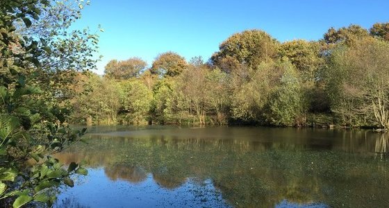 Betchton Farm Certificated Site, Alsager, Cheshire