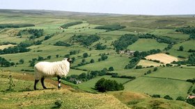 North York Moors (© By No machine-readable author provided. Wigulf~commonswiki assumed (based on copyright claims). [GFDL (http://www.gnu.org/copyleft/fdl.html) or CC-BY-SA-3.0 (http://creativecommons.org/licenses/by-sa/3.0/)], via Wikimedia Commons (GFDL copy: https://en.wikipedia.org/wiki/GNU_Free_Documentation_License, original photo: https://commons.wikimedia.org/wiki/File:North_York_Moors.jpg))