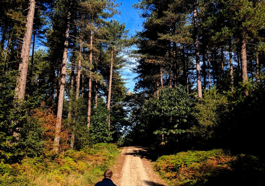 Sherwood Pines Camping, Nottingham, Nottinghamshire