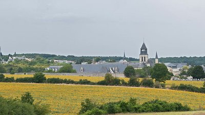 Area in the region - Fontevraud-l'Abbaye Panorama (July 2011) (© By Diliff (Own work) [CC BY-SA 3.0 (http://creativecommons.org/licenses/by-sa/3.0) or GFDL (http://www.gnu.org/copyleft/fdl.html)], via Wikimedia Commons (GFDL copy: https://en.wikipedia.org/wiki/GNU_Free_Documentation_License, original photo: https://commons.wikimedia.org/wiki/File:Fontevraud-l%27Abbaye_Panorama,_France_-_July_2011.jpg))