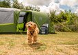 Adam Henson's Cotswold Farm Park Cheltenham, Gloucestershire
