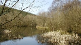 Pexton Pond  (© © Copyright Doreen Laycock (https://www.geograph.org.uk/profile/35216) and licensed for reuse (http://www.geograph.org.uk/reuse.php?id=1208883) under this Creative Commons Licence (https://creativecommons.org/licenses/by-sa/2.0/).)