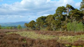 Wan Fell, Penrith  (© © Copyright Andrew Smith (https://www.geograph.org.uk/profile/2562) and licensed for reuse (https://www.geograph.org.uk/reuse.php?id=4334289) under this Creative Commons Licence (https://creativecommons.org/licenses/by-sa/2.0/).)