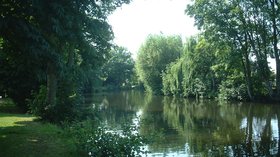 The Wensum under trees (© By No machine-readable author provided. Angmering assumed (based on copyright claims). [Public domain], via Wikimedia Commons)
